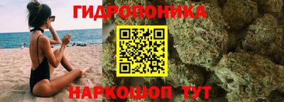 дмт Бийск