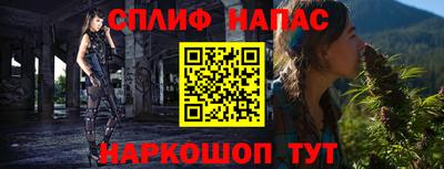 дмт Бийск