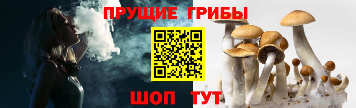 Кашира  Псилоцибиновые грибы Psilocybe  Вход с VPN  Галлюциногенные грибы ЛСД 